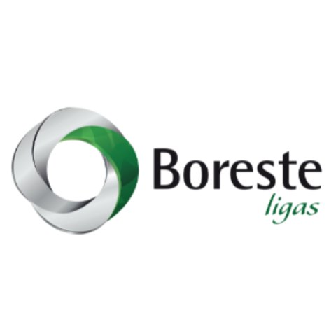 Logo Boreste Ligas